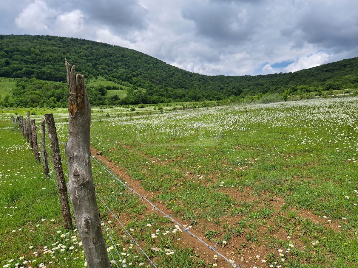 Продажа Agricultural Plot в In Tianeti, In Tianeti Municipality view 5