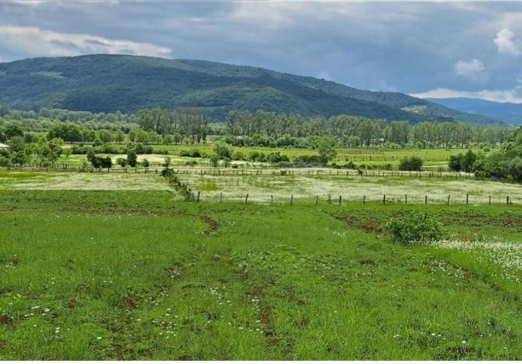 Продажа Agricultural Plot в In Tianeti, In Tianeti Municipality view 7