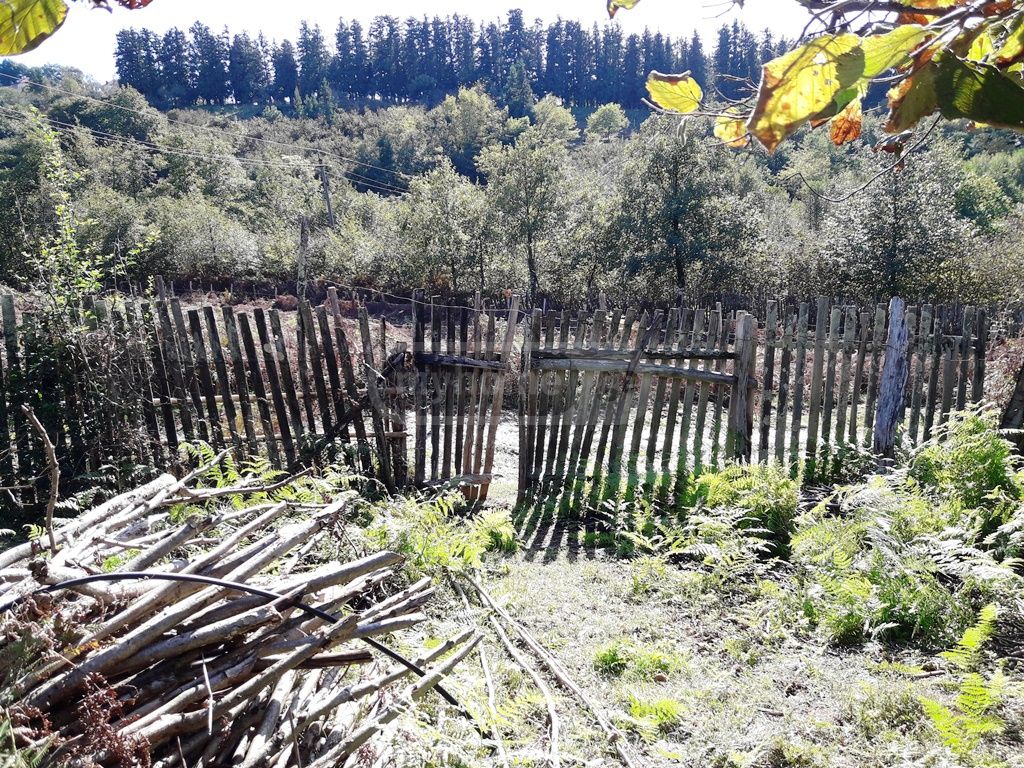 For Sale Sasoplo-Sameurneo Land Plot Ozurgetshi view 6
