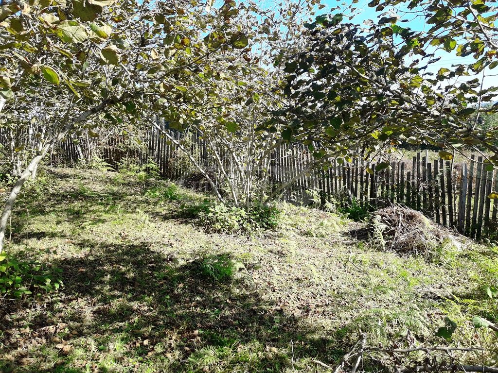 For Sale Sasoplo-Sameurneo Land Plot Ozurgetshi view 8