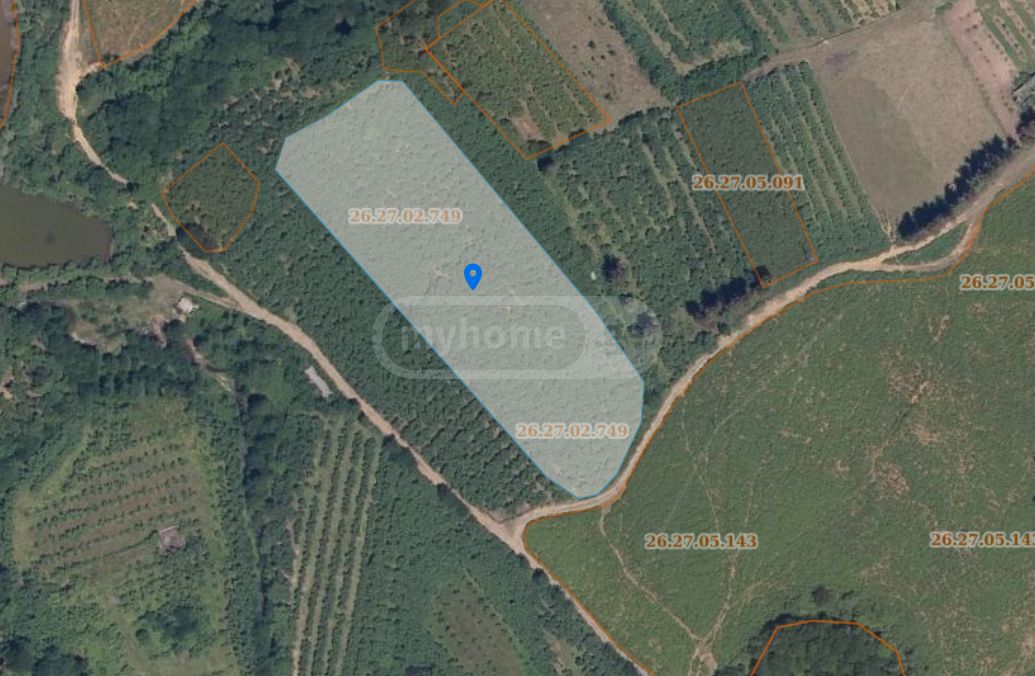 For Sale Sasoplo-Sameurneo Land Plot Ozurgetshi view 9