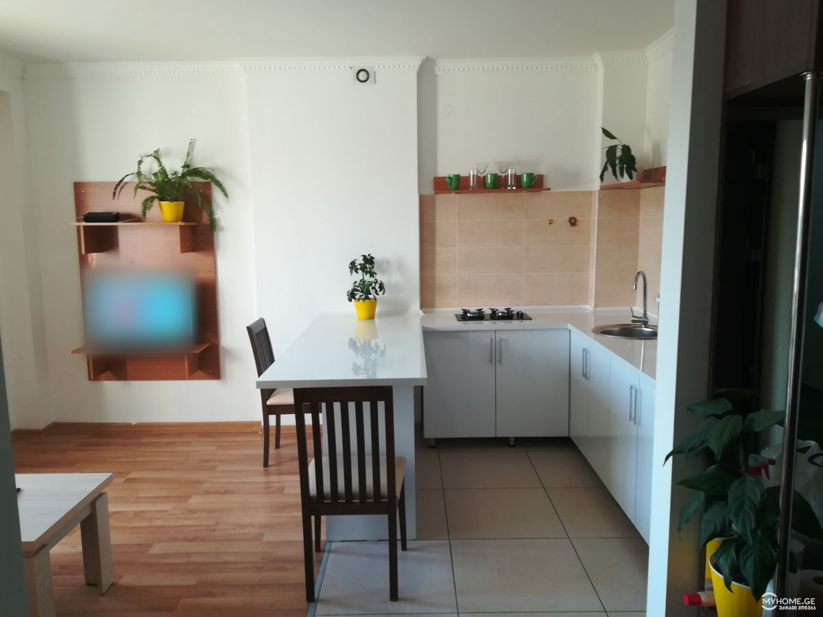 Daily Rent 1 Room Sastumro Samgorshi view 6