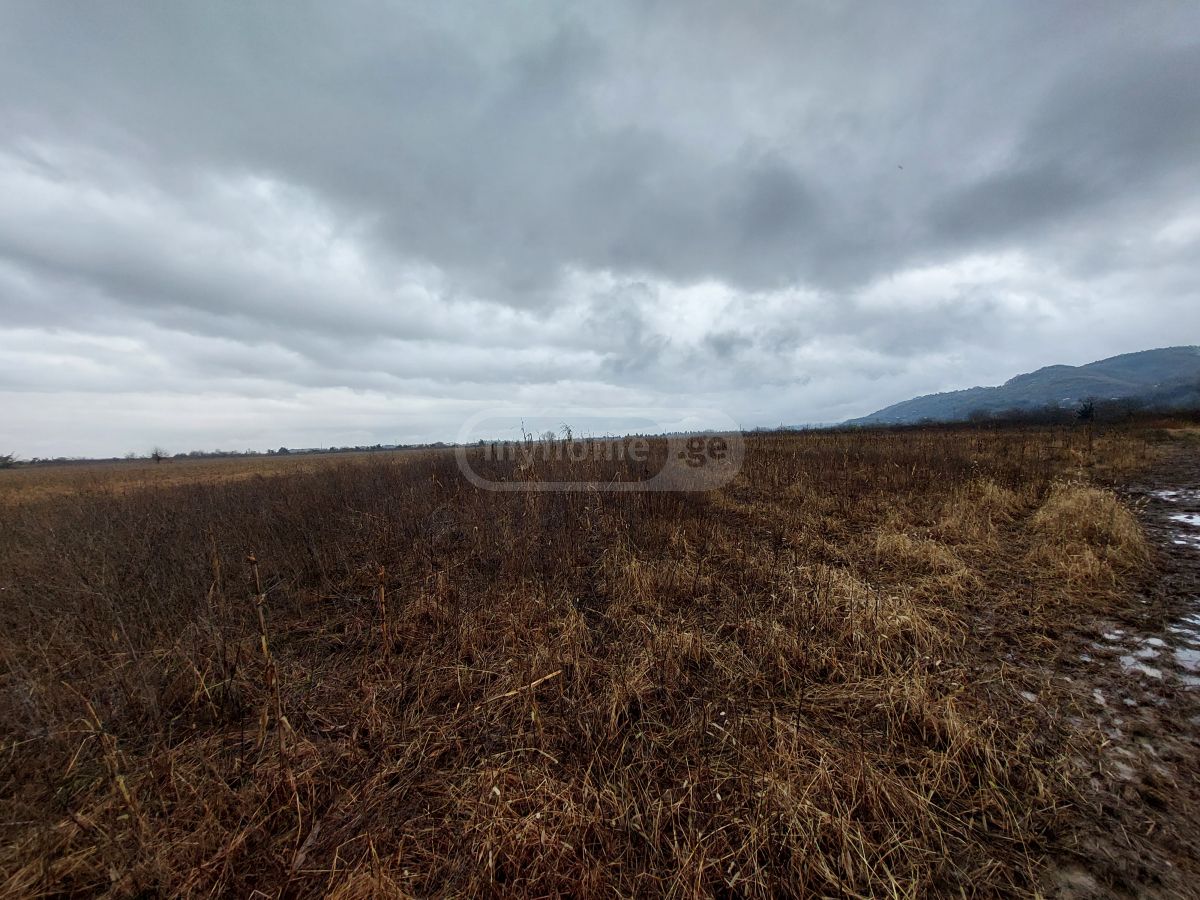 Продажа Agricultural Plot в In Samtredia view 2