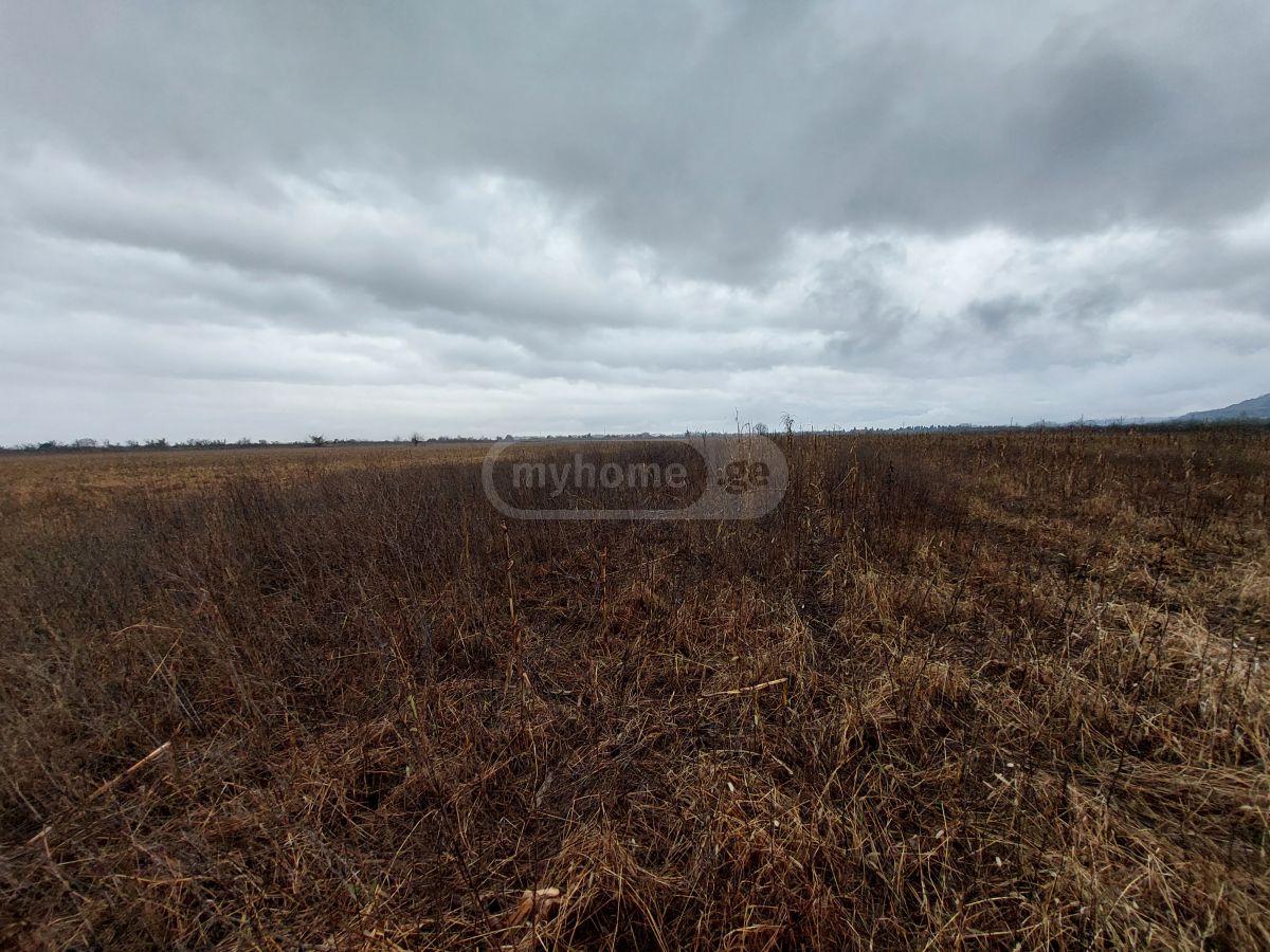 Продажа Agricultural Plot в In Samtredia view 3