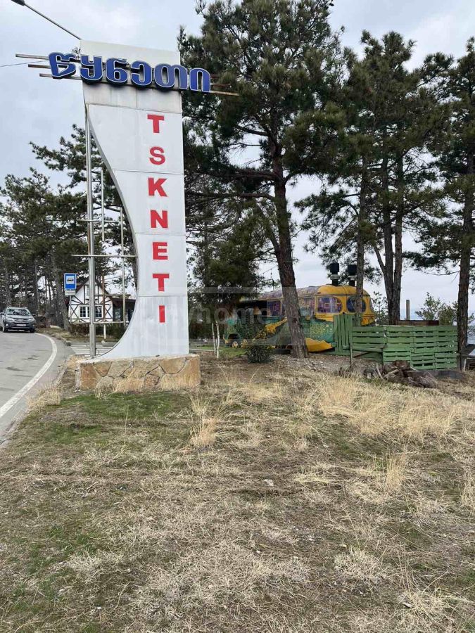 Universal Commercial Area For Rent In Tskneti view 4