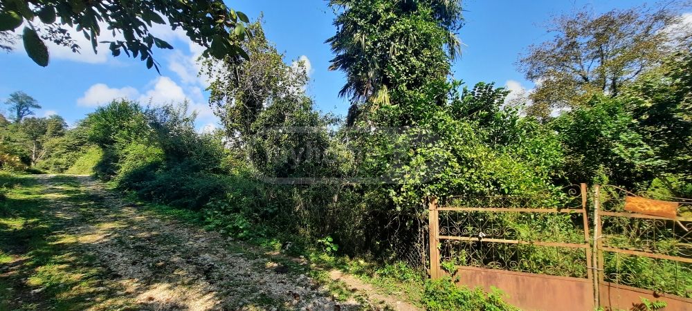 Продажа Земля / участок в Zugdidis Munitsipalitetshi view 1