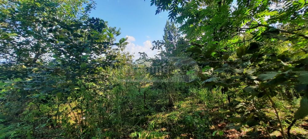 Продажа Земля / участок в Zugdidis Munitsipalitetshi view 3