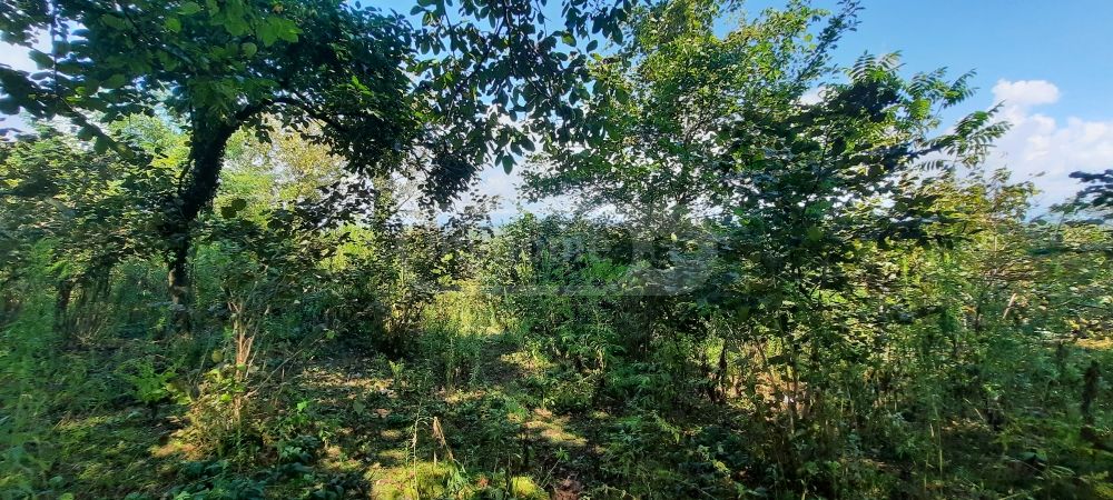 Продажа Земля / участок в Zugdidis Munitsipalitetshi view 4