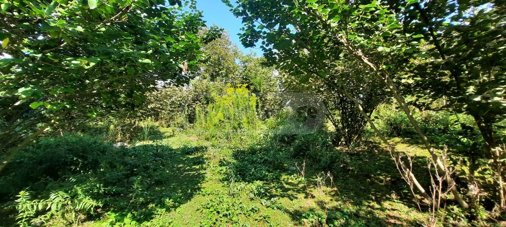 Продажа Земля / участок в Zugdidis Munitsipalitetshi view 6