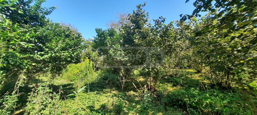 Продажа Земля / участок в Zugdidis Munitsipalitetshi view 7