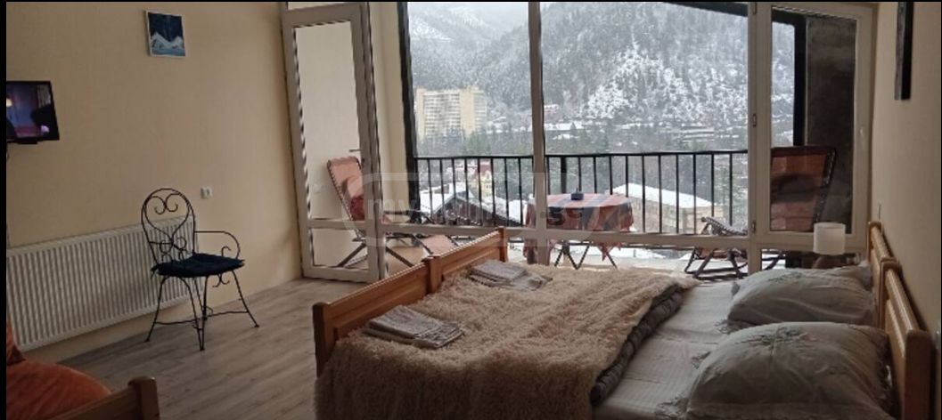 5 Room Private House Daily Rent In Borjomi view 7