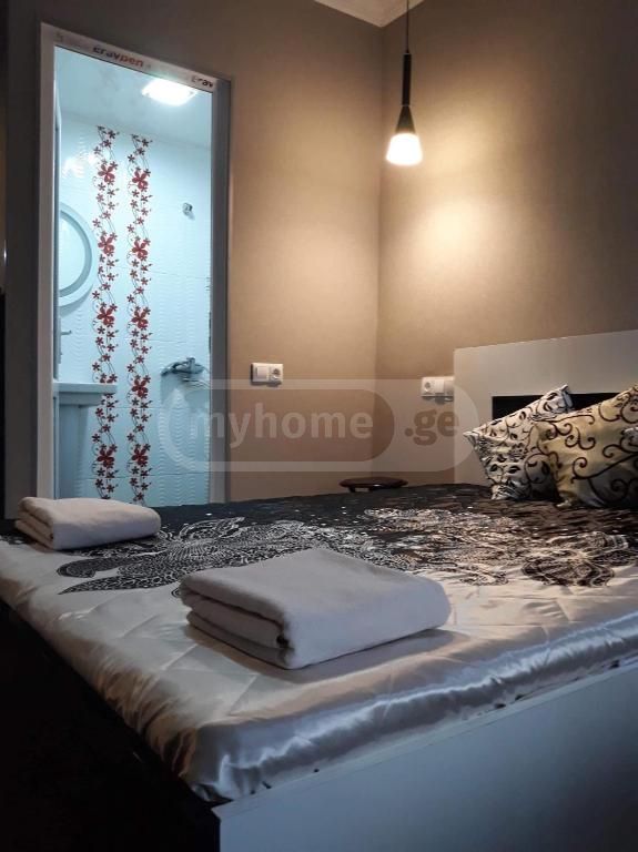 5 Room Private House Daily Rent In Borjomi view 10