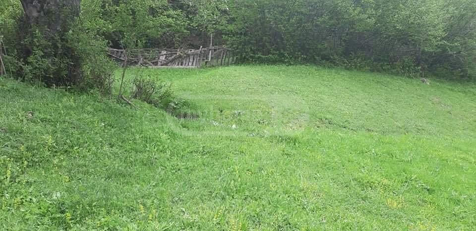 იყიდება Agricultural Plot In Mestiaში view 4