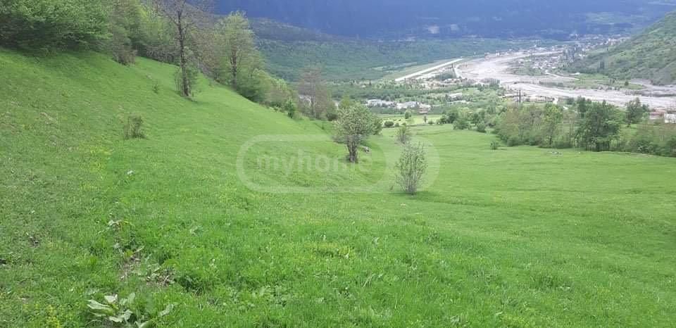 იყიდება Agricultural Plot In Mestiaში view 5