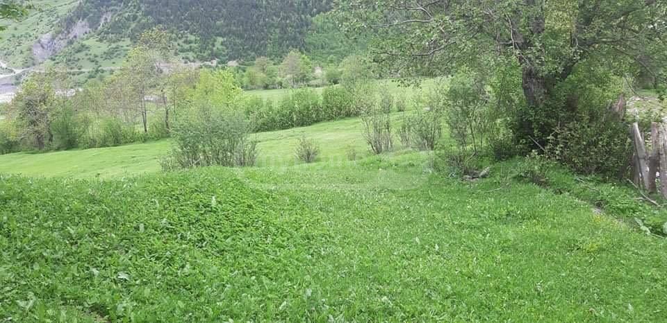 იყიდება Agricultural Plot In Mestiaში view 8