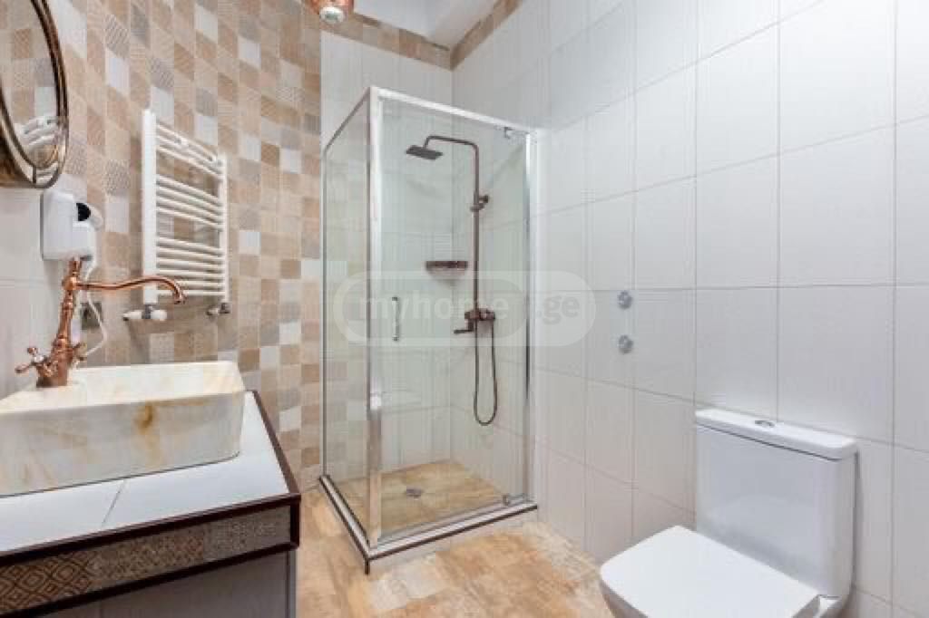 For Rent 10+ Room Sastumro Vedzisshi view 7