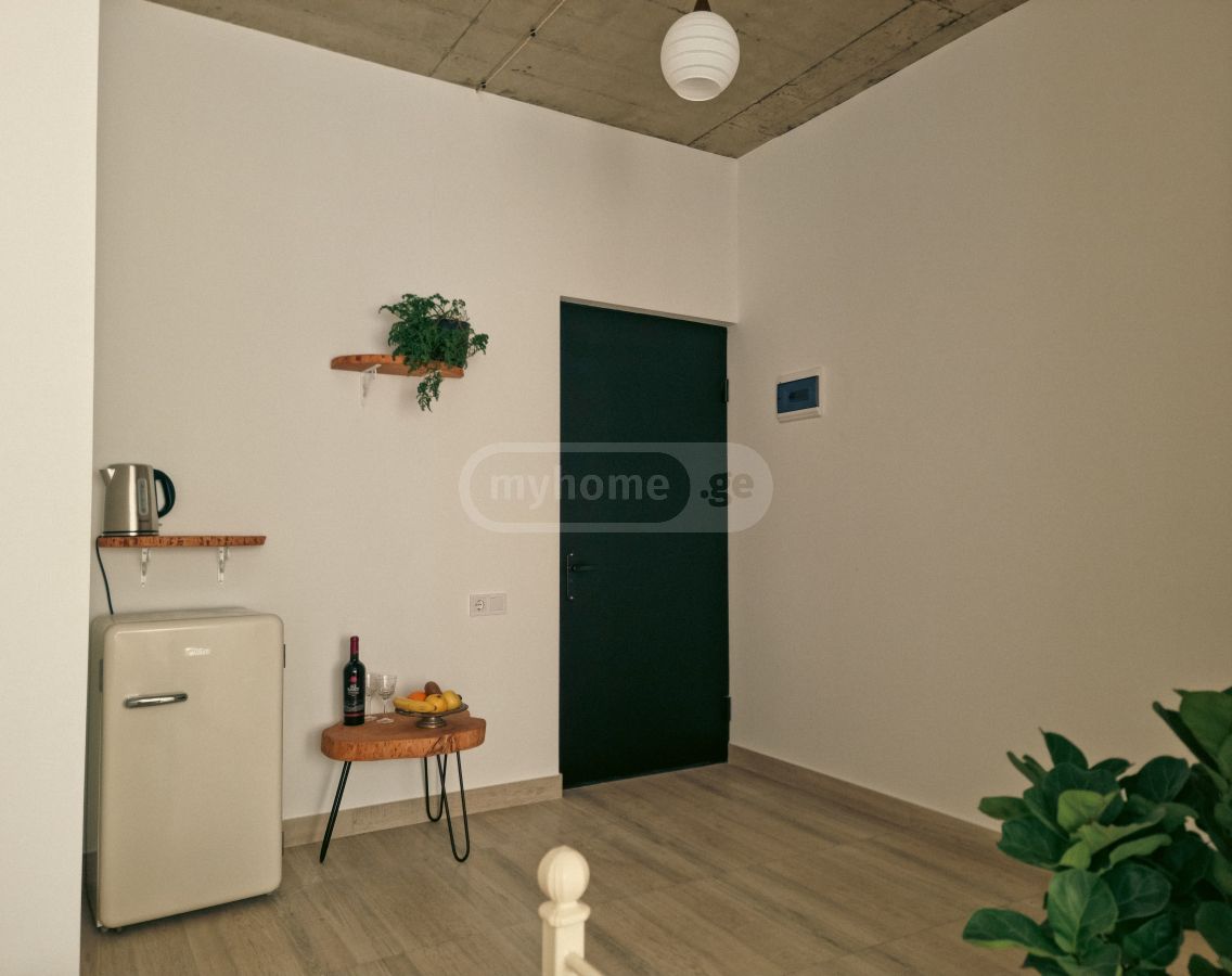Daily Rent 1 Room Apartment Kutaisshi view 1