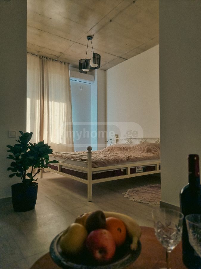 Daily Rent 1 Room Apartment Kutaisshi view 3