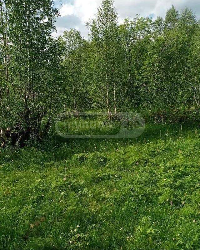 Продажа Земля / участок в Mestiashi view 10