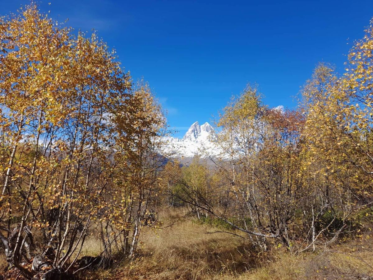 Продажа Земля / участок в Mestiashi view 4
