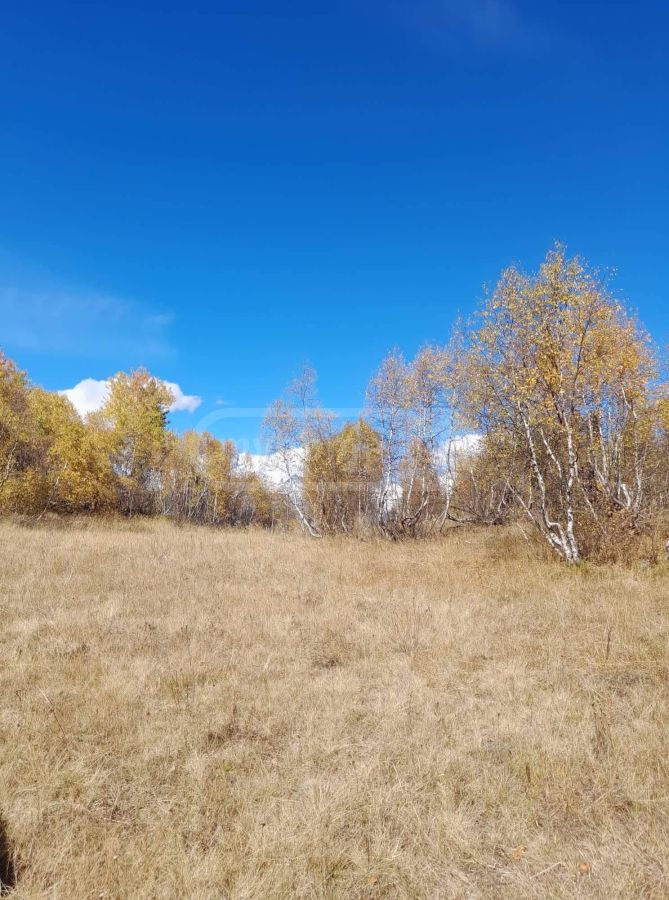 Продажа Земля / участок в Mestiashi view 5