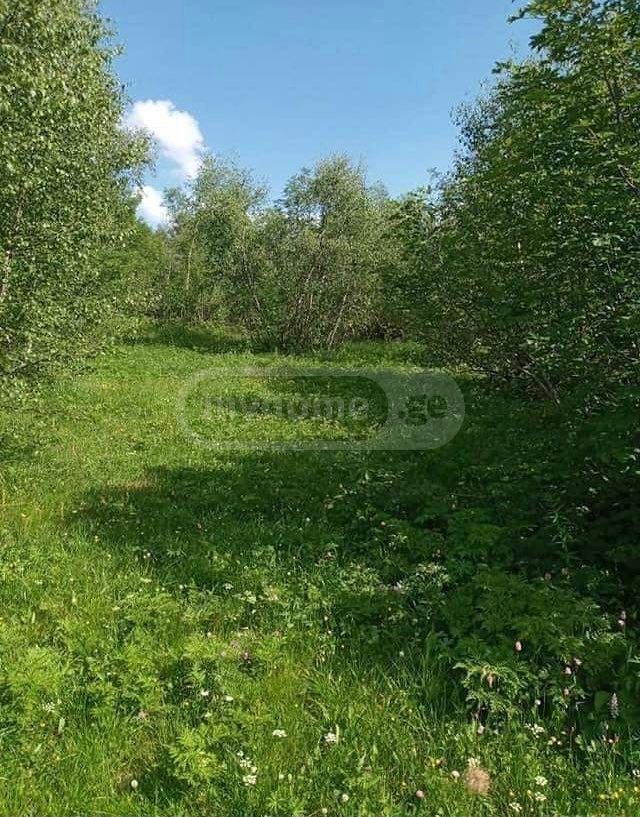 Продажа Земля / участок в Mestiashi view 8