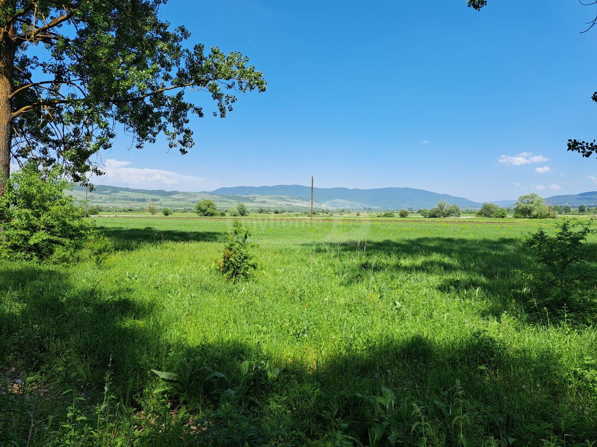 იყიდება Agricultural Plot In Tianeti, In Tianeti Municipalityში view 1