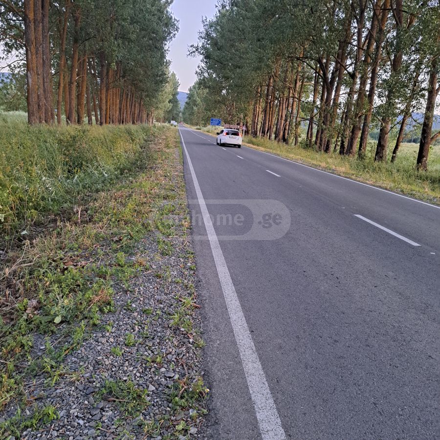იყიდება Agricultural Plot In Tianeti, In Tianeti Municipalityში view 10