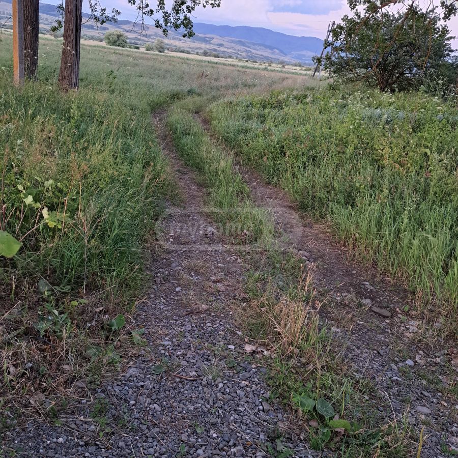 იყიდება Agricultural Plot In Tianeti, In Tianeti Municipalityში view 11