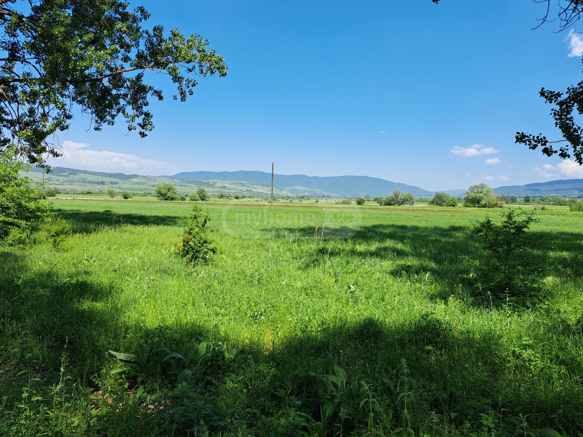 იყიდება Agricultural Plot In Tianeti, In Tianeti Municipalityში view 3