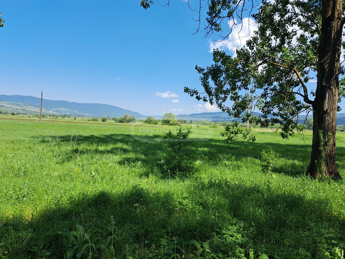 იყიდება Agricultural Plot In Tianeti, In Tianeti Municipalityში view 4