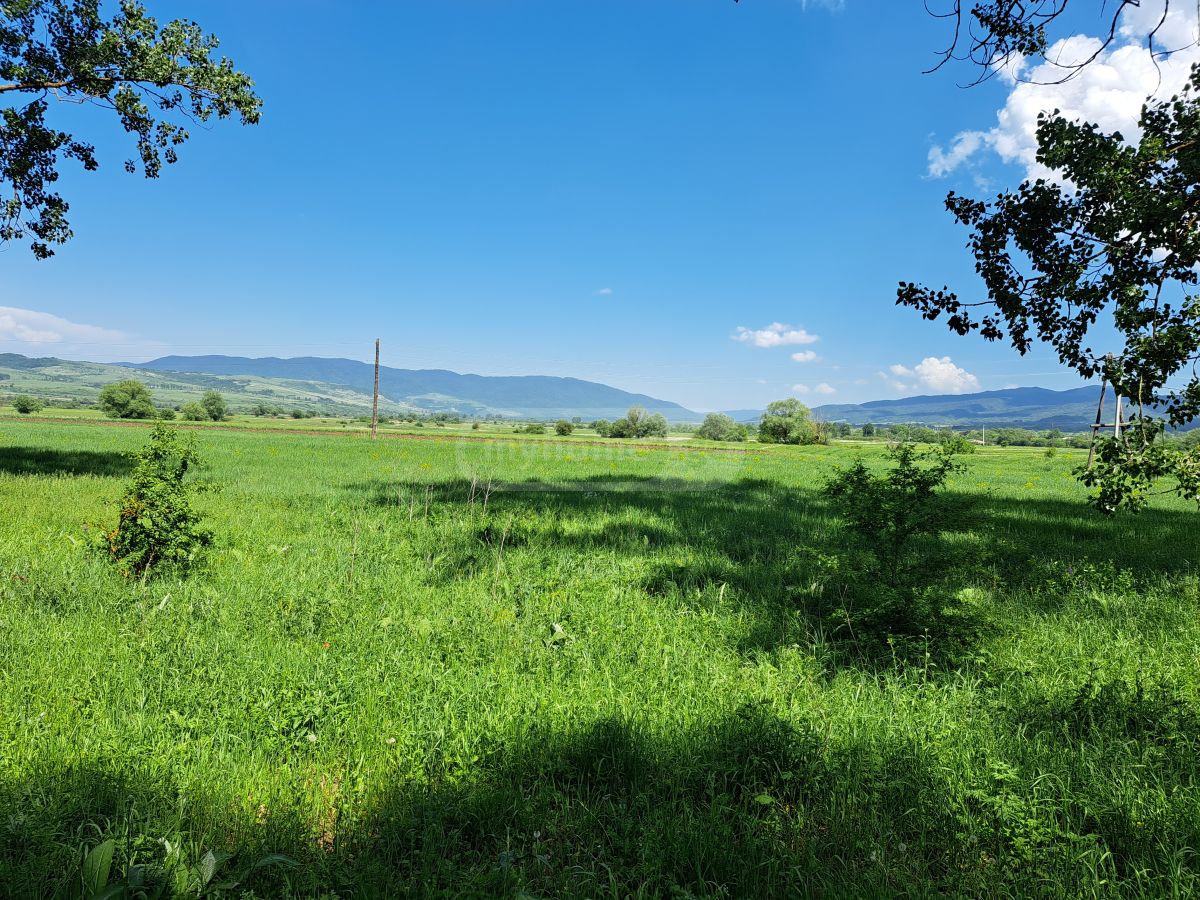 იყიდება Agricultural Plot In Tianeti, In Tianeti Municipalityში view 5