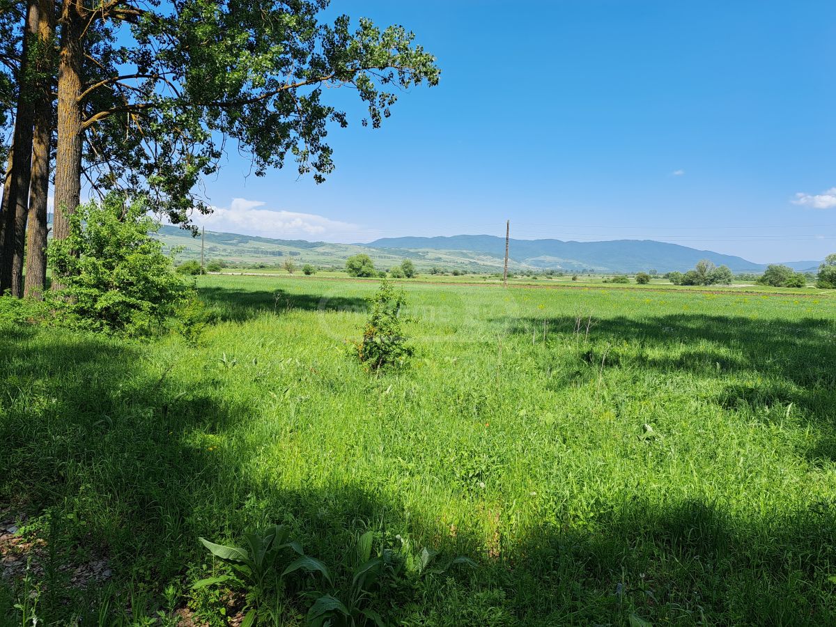 იყიდება Agricultural Plot In Tianeti, In Tianeti Municipalityში view 9