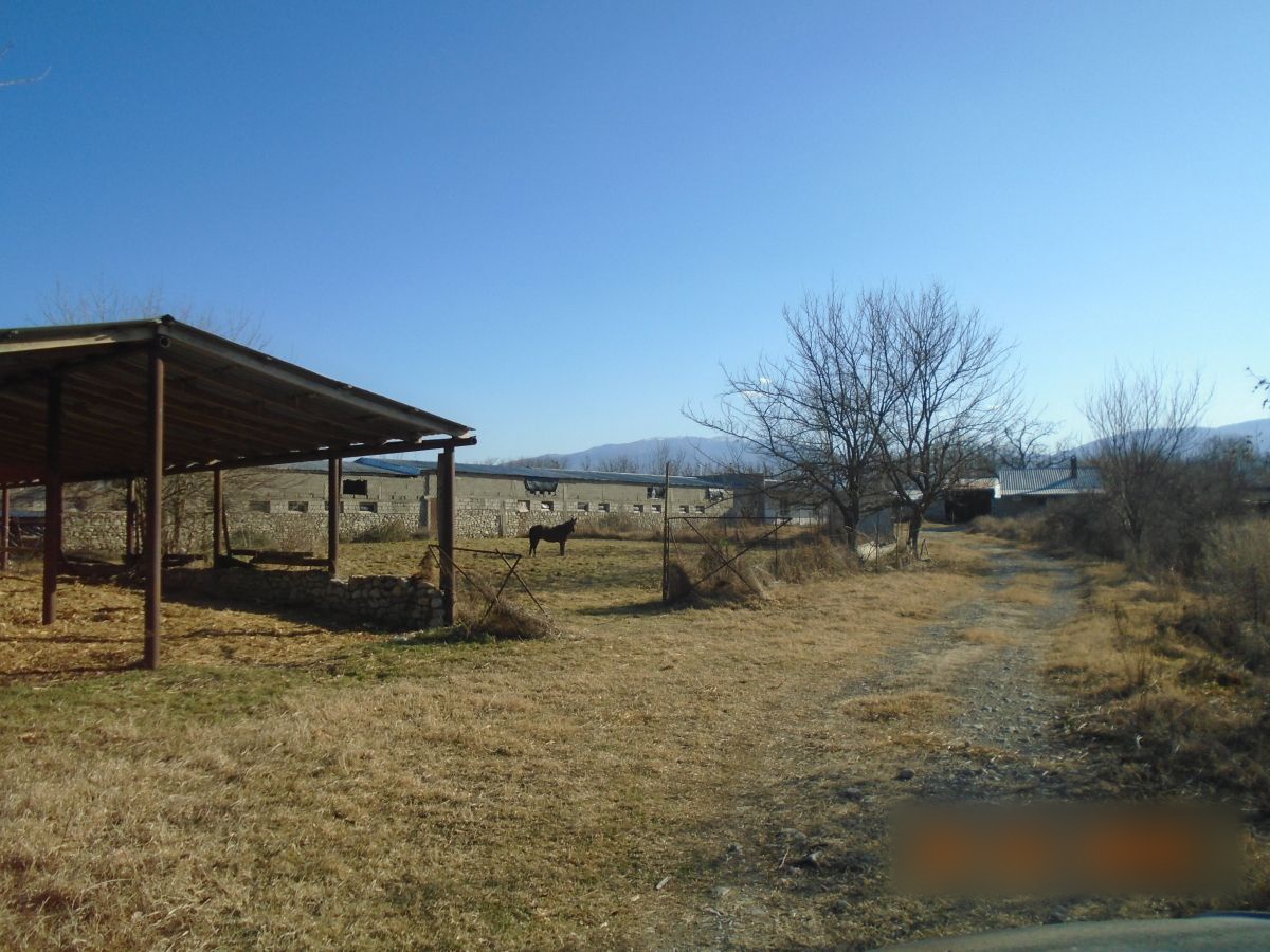 Universal Commercial Area For Sale In Akhmeta view 10
