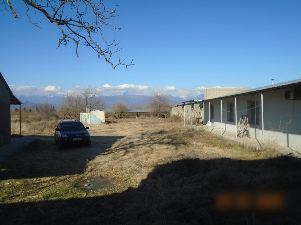 Universal Commercial Area For Sale In Akhmeta view 2