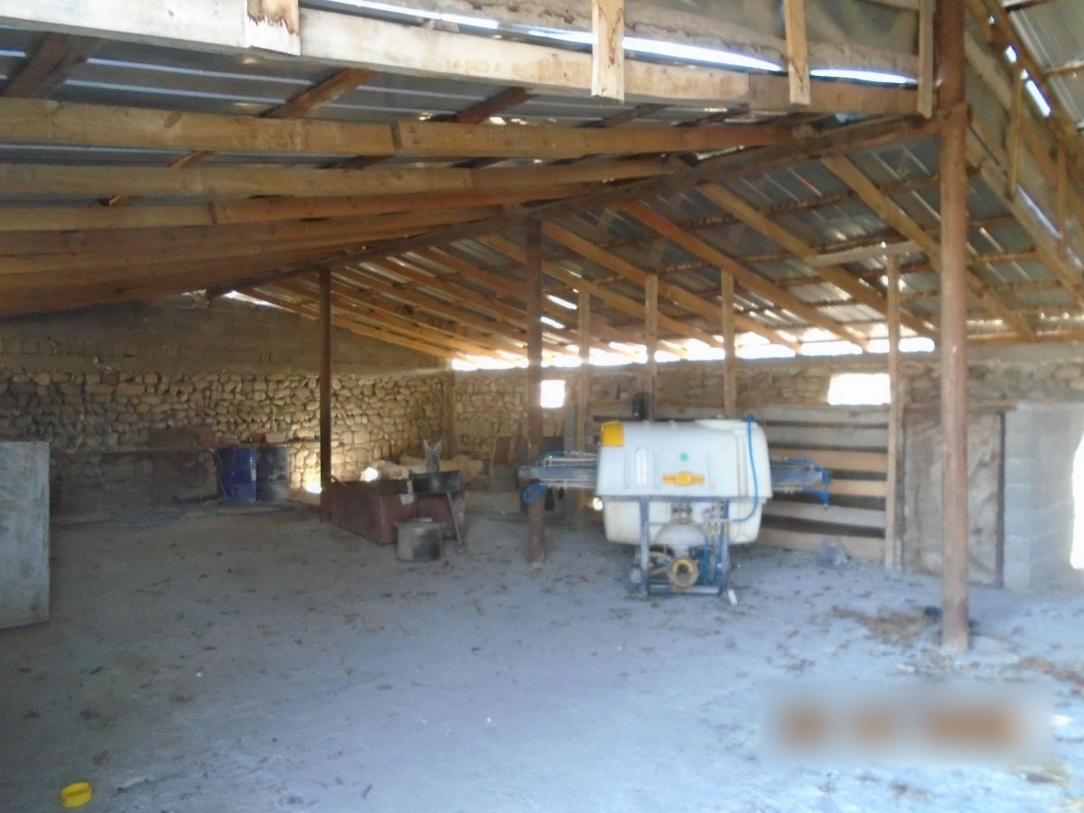 Universal Commercial Area For Sale In Akhmeta view 4