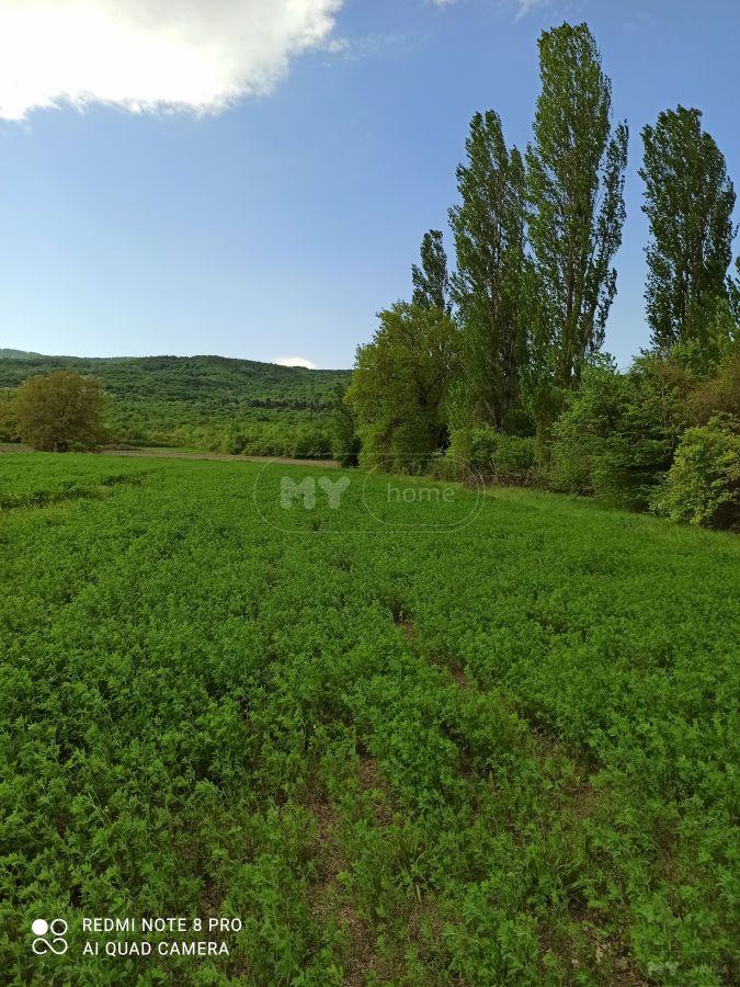Продажа Agricultural Plot в In Akhmeta view 1