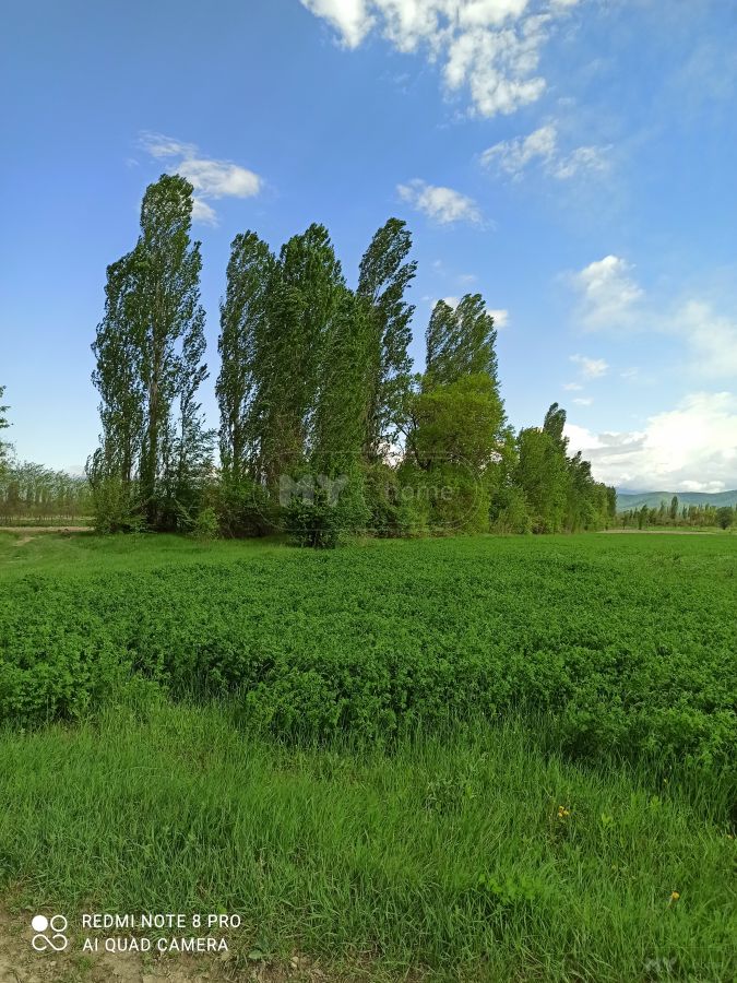 Продажа Agricultural Plot в In Akhmeta view 10