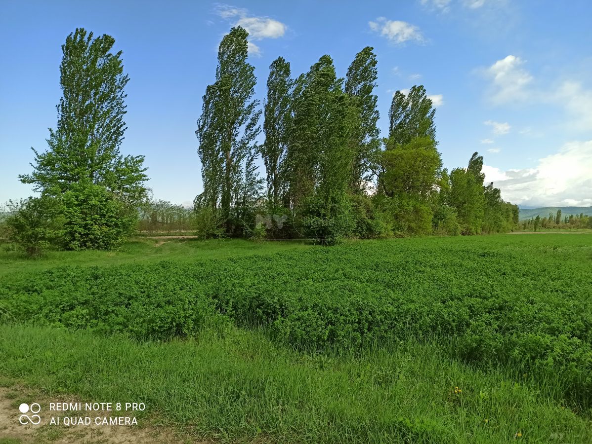 Продажа Agricultural Plot в In Akhmeta view 11