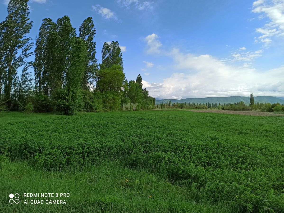 Продажа Agricultural Plot в In Akhmeta view 12