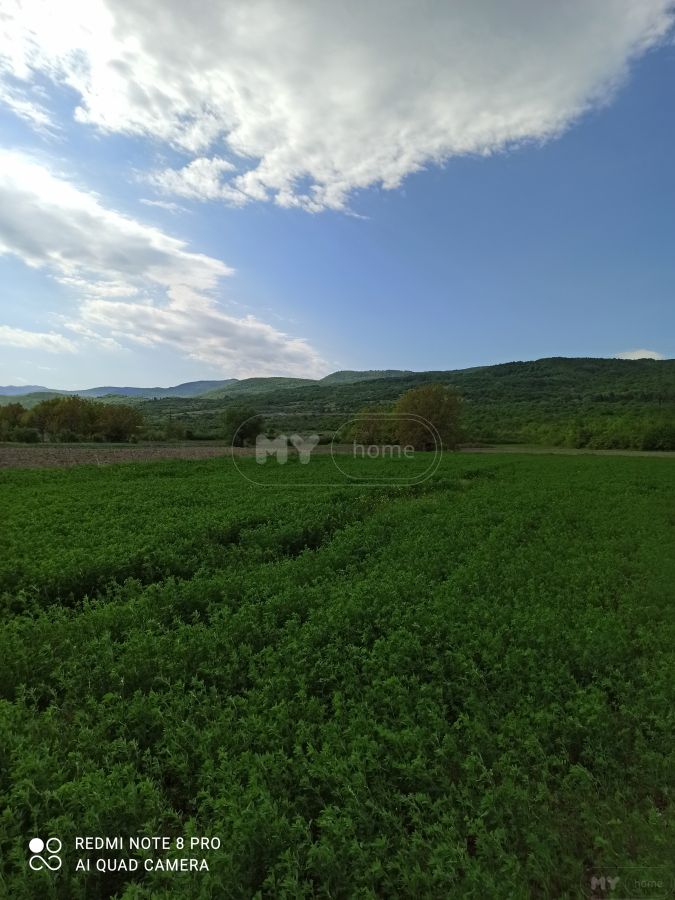 Продажа Agricultural Plot в In Akhmeta view 2