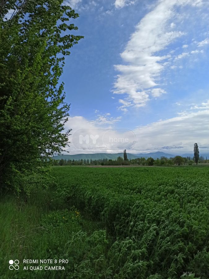 Продажа Agricultural Plot в In Akhmeta view 3
