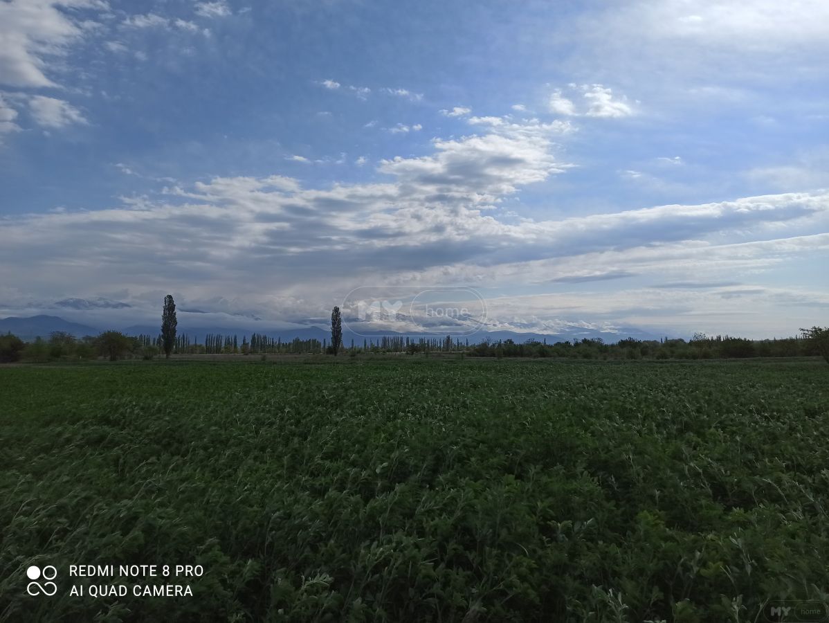 Продажа Agricultural Plot в In Akhmeta view 4