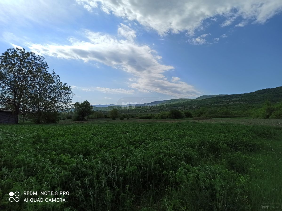 Продажа Agricultural Plot в In Akhmeta view 5