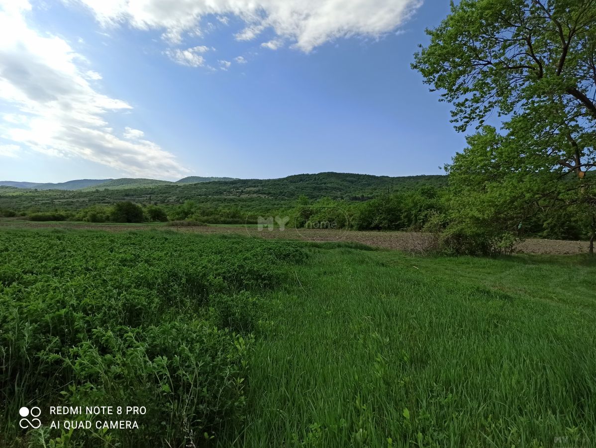 Продажа Agricultural Plot в In Akhmeta view 6