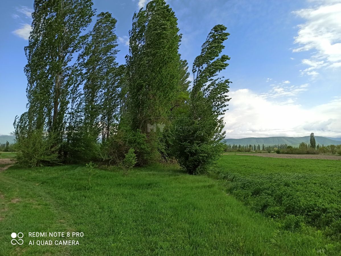 Продажа Agricultural Plot в In Akhmeta view 7