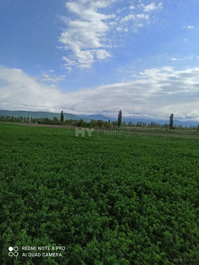 Продажа Agricultural Plot в In Akhmeta view 8