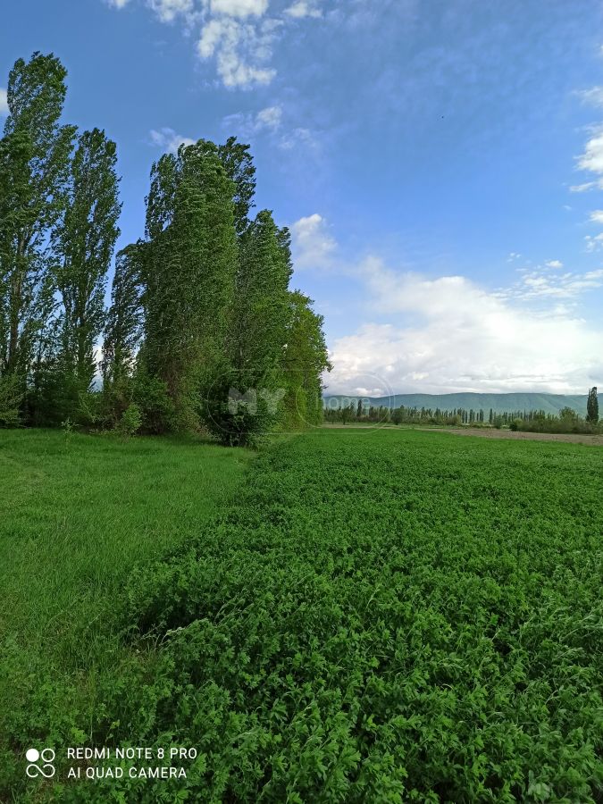Продажа Agricultural Plot в In Akhmeta view 9