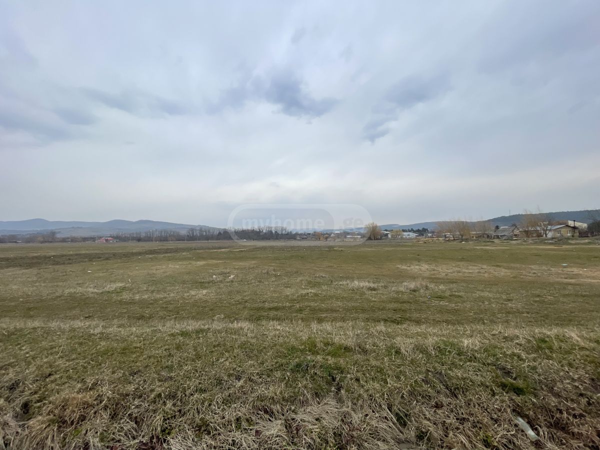 For Sale Sasoplo-Sameurneo Land Plot Khashurshi view 1