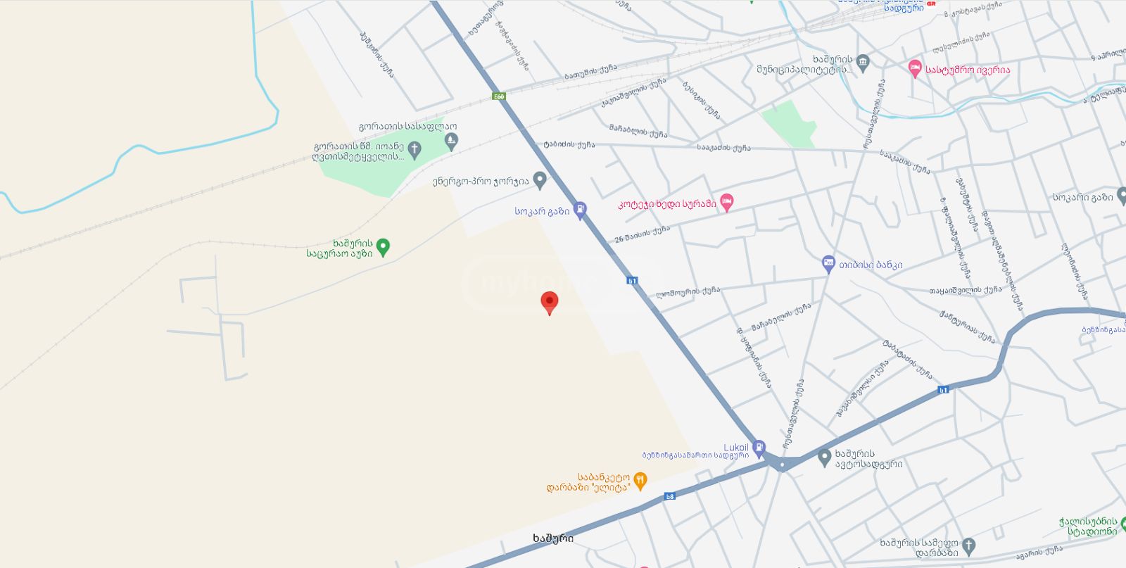For Sale Sasoplo-Sameurneo Land Plot Khashurshi view 5